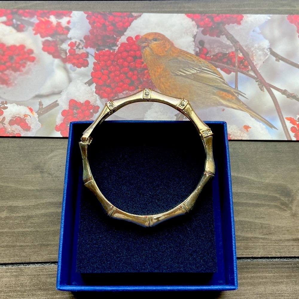 Beautiful bangle style Bracelet Francesca’s